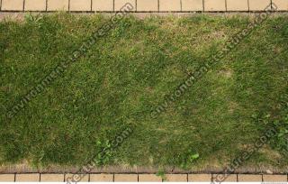 photo texture of grass 0010